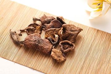 榛蘑是蘑菇吗?榛蘑是什么蘑菇? 榛蘑是蘑菇吗?榛蘑是什么蘑菇?