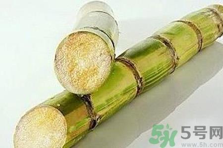 血糖高的人能吃甘蔗吗?血糖偏高可以吃甘蔗吗? 血糖高的人能吃甘蔗吗?血糖偏高可以吃甘蔗吗?
