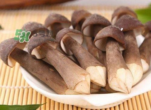 鸡枞菌什么人不能吃?鸡枞菌哪些人能吃 鸡枞菌什么人不能吃?鸡枞菌哪些人能吃