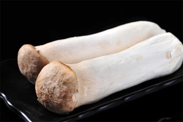 杏鲍菇可以生吃吗 杏鲍菇吃生的有毒吗 杏鲍菇可以生吃吗 杏鲍菇吃生的有毒吗