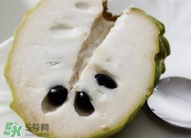 释迦不能和什么一起吃？释迦果不能和什么一起吃？