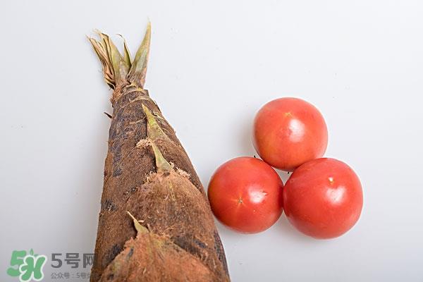 冬笋会不会回奶?吃冬笋回奶吗? 冬笋会不会回奶?吃冬笋回奶吗?