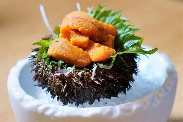 海胆多少钱一只 海胆按个卖还是按斤卖 海胆多少钱一只 海胆按个卖还是按斤卖