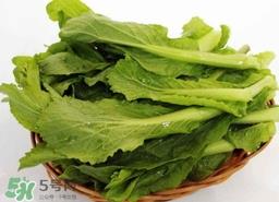 苦菜的营养价值_苦菜的功效与作用及食用方法 苦菜的营养价值_苦菜的功效与作用及食用方法