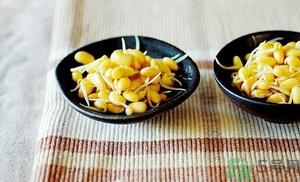 黄豆芽能凉拌吗?凉拌黄豆芽的家常做法 黄豆芽能凉拌吗?凉拌黄豆芽的家常做法