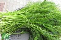 茴香包饺子用焯水吗?茴香做馅需要焯水吗 茴香包饺子用焯水吗?茴香做馅需要焯水吗