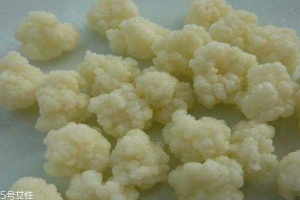 雪莲菌可以怎么养殖呢 雪莲菌怎么吃呢 雪莲菌可以怎么养殖呢 雪莲菌怎么吃呢