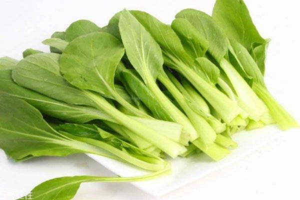 鸡毛菜有什么食用禁忌吗 鸡毛菜一般几月份上市呢 鸡毛菜有什么食用禁忌吗 鸡毛菜一般几月份上市呢