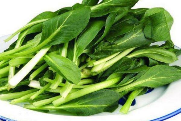 鸡毛菜有什么食用禁忌吗 鸡毛菜一般几月份上市呢 鸡毛菜有什么食用禁忌吗 鸡毛菜一般几月份上市呢