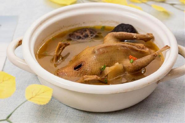 鸽子汤可以用高压锅炖吗 鸽子汤用高压锅要炖多少时间 鸽子汤可以用高压锅炖吗 鸽子汤用高压锅要炖多少时间