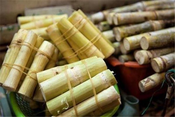 甘蔗有红斑点还能吃吗 甘蔗把发红的地方切了还能吃吗 甘蔗有红斑点还能吃吗 甘蔗把发红的地方切了还能吃吗