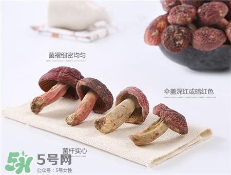 红菇的营养价值 红菇的功效与作用 红菇的营养价值 红菇的功效与作用