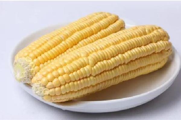甜玉米是碳水吗 甜玉米属于粗粮吗 甜玉米是碳水吗 甜玉米属于粗粮吗