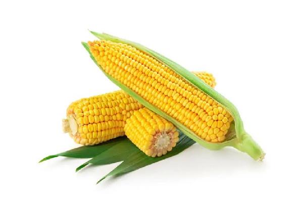 甜玉米是碳水吗 甜玉米属于粗粮吗 甜玉米是碳水吗 甜玉米属于粗粮吗