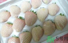 菠萝莓是什么味道?菠萝莓味道怎么样?.png 菠萝莓是什么味道?菠萝莓味道怎么样?.png