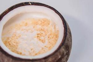 菲诺椰子冻怎么吃?菲诺椰子冻好吃吗 菲诺椰子冻怎么吃?菲诺椰子冻好吃吗