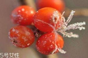 沙棘茶可以空腹喝吗 沙棘茶的喝法 沙棘茶可以空腹喝吗 沙棘茶的喝法