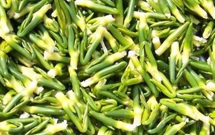 莲子煮粥要去芯吗 莲子芯吃多了会怎样 莲子煮粥要去芯吗 莲子芯吃多了会怎样