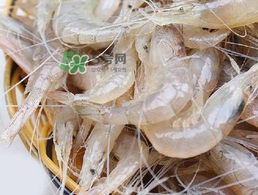 白虾是河虾还是海虾?白虾是寒性的吗 白虾是河虾还是海虾?白虾是寒性的吗