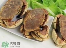 面包蟹为什么叫面包蟹?面包蟹为什么都是母蟹 面包蟹为什么叫面包蟹?面包蟹为什么都是母蟹
