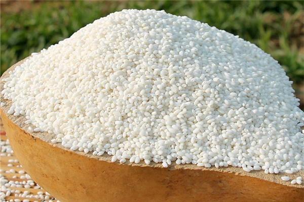 糯米有虫子还可以吃吗 糯米生虫应该怎样处理 糯米有虫子还可以吃吗 糯米生虫应该怎样处理