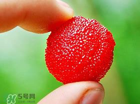 杨梅一天最多吃多少?杨梅一次能吃多少? 杨梅一天最多吃多少?杨梅一次能吃多少?
