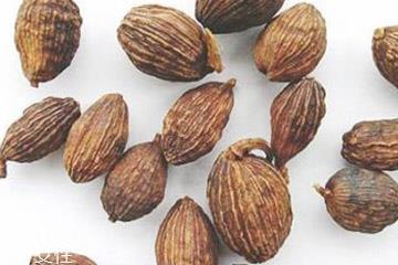 草果和砂仁可以同吃吗 治疗肚胀 草果和砂仁可以同吃吗 治疗肚胀