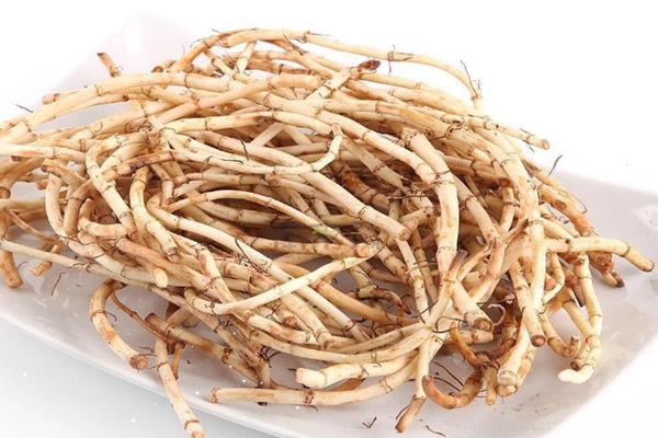鱼腥草是哪里的特产 鱼腥草是不是折耳根 鱼腥草是哪里的特产 鱼腥草是不是折耳根