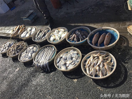 食神必逛!海鲜市场“鲅鱼圈”