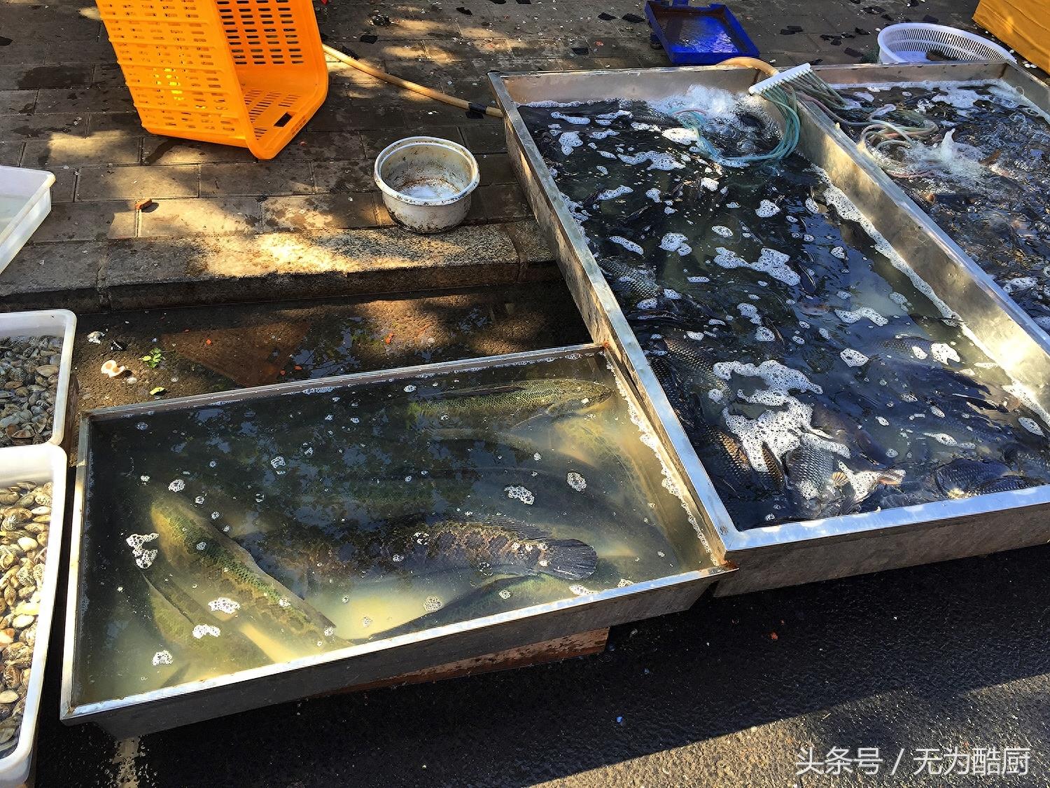 食神必逛!海鲜市场“鲅鱼圈”