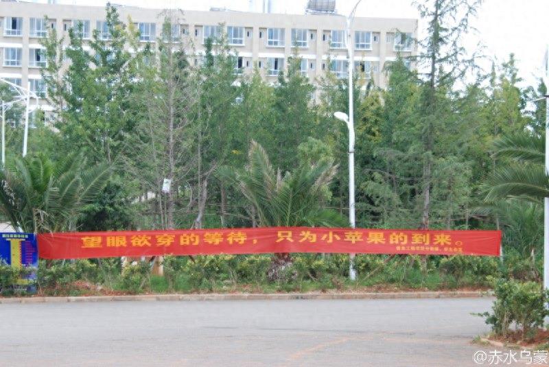 大学迎新奇葩搞笑标语大盘点
