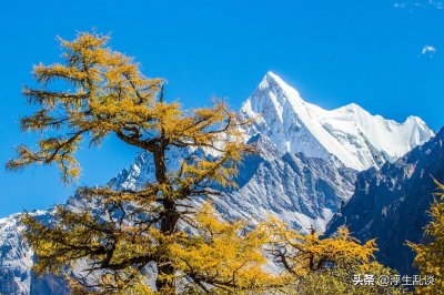 ​可以用来当名字的古代月份雅称，高级又惊艳
