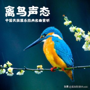 ​【美·听】 海青拿天鹅 || 中国民族器乐经典名曲专题赏析