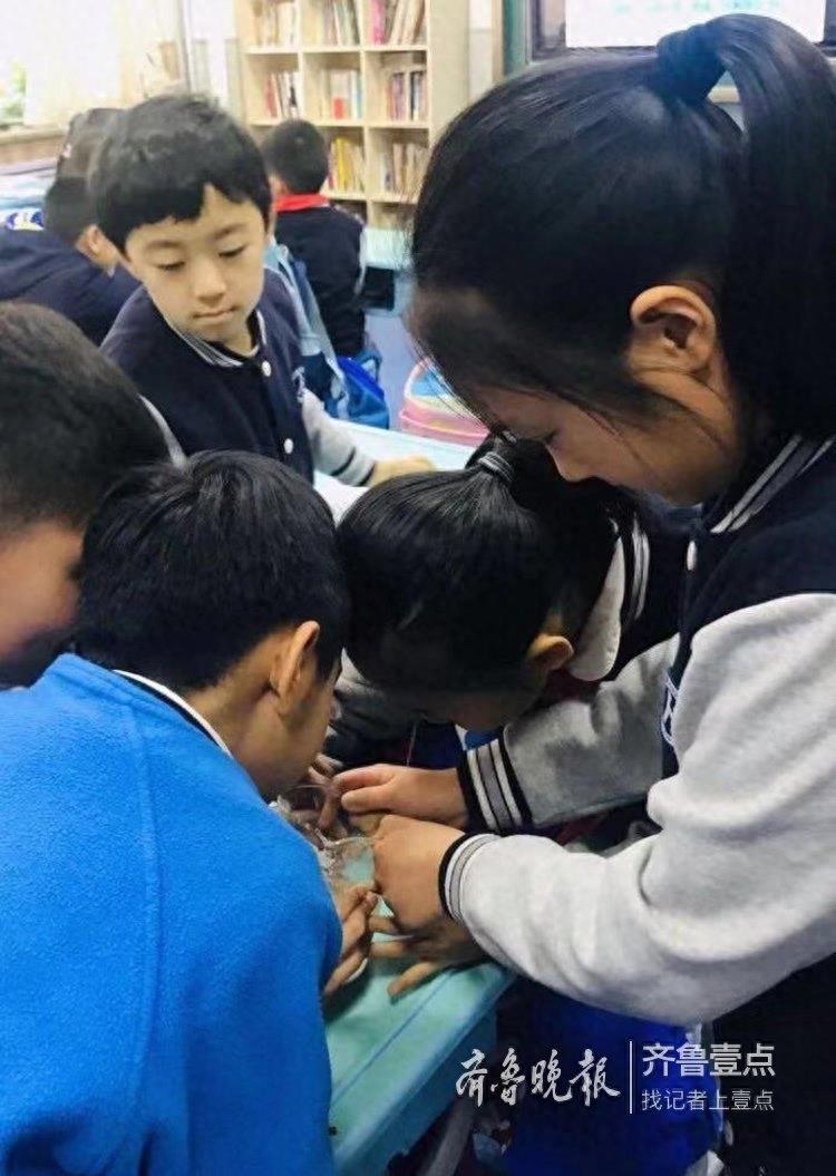 奇妙!寻找生活中有趣的化学现象