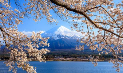 ​安倍因“不死的癌症”辞职，这个病到底有多严重？看看医生怎么说
