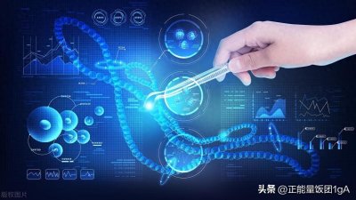 ​生物医学科学专业学什么？就业前景，就业方向，就业职位详解