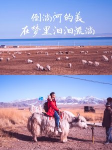 ​避坑：就让倒淌河的美，永远在歌声里流淌