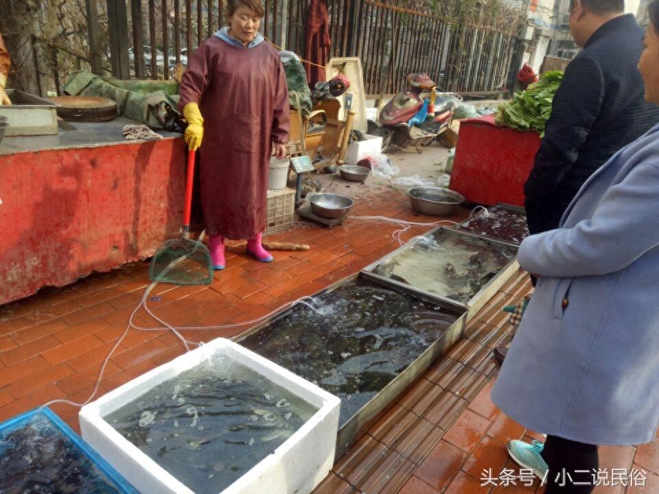 草鱼白条鱼你都认识吗?7元一斤的活鱼贵不贵?