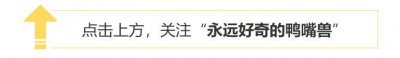 ​马肉鲜美，全球每年有470万匹马被屠宰，为何中国人很少吃马肉？