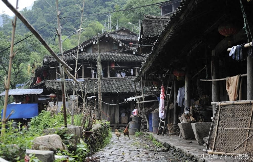 400年历史的田园古村落——温州岭上人家