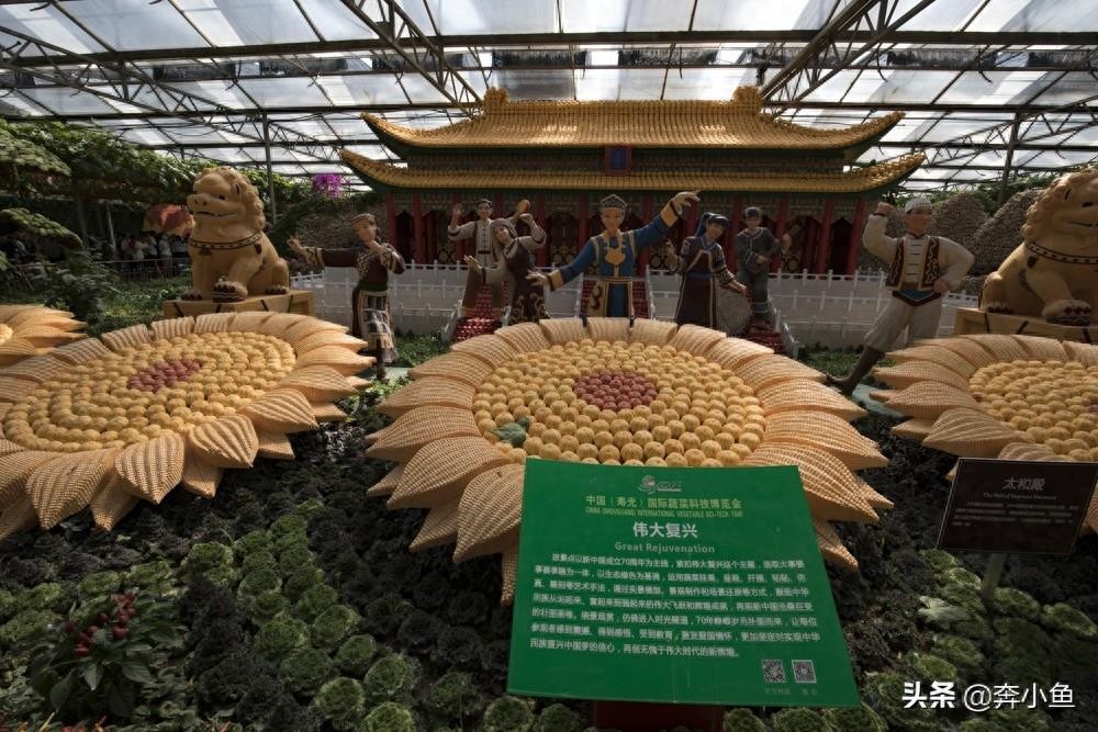 走进山东寿光国际会展中心，盛况空前的菜博会定会让你眼前一亮