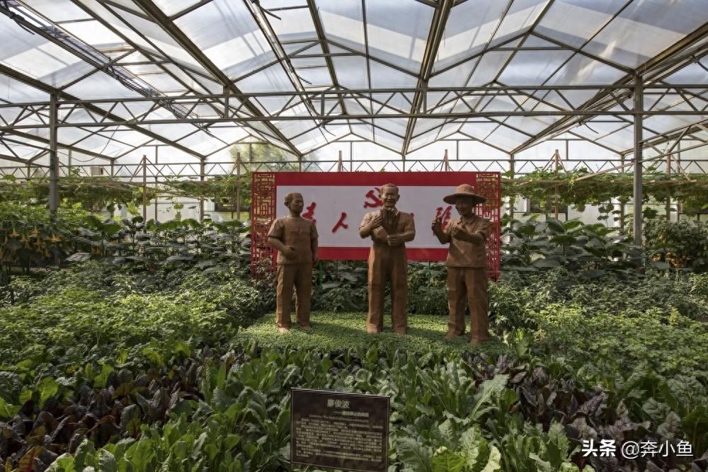 走进山东寿光国际会展中心，盛况空前的菜博会定会让你眼前一亮