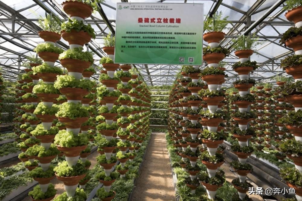 走进山东寿光国际会展中心，盛况空前的菜博会定会让你眼前一亮