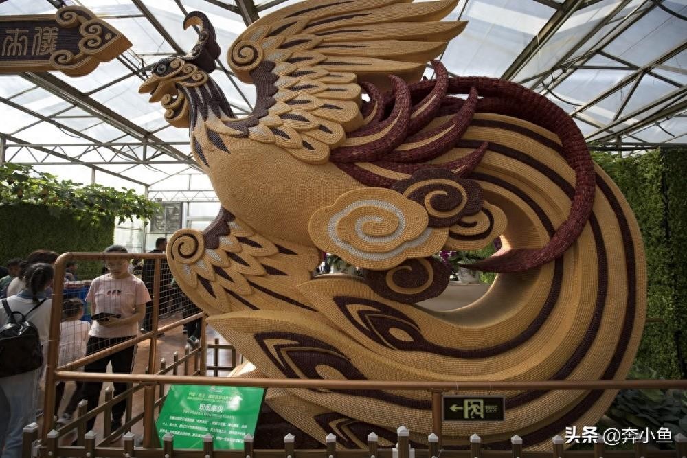 走进山东寿光国际会展中心，盛况空前的菜博会定会让你眼前一亮