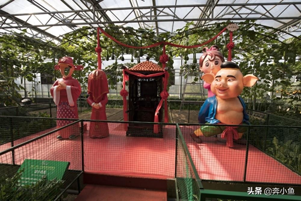走进山东寿光国际会展中心，盛况空前的菜博会定会让你眼前一亮