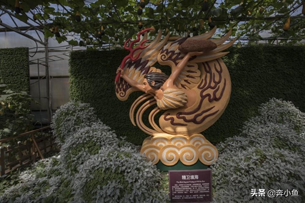 走进山东寿光国际会展中心，盛况空前的菜博会定会让你眼前一亮