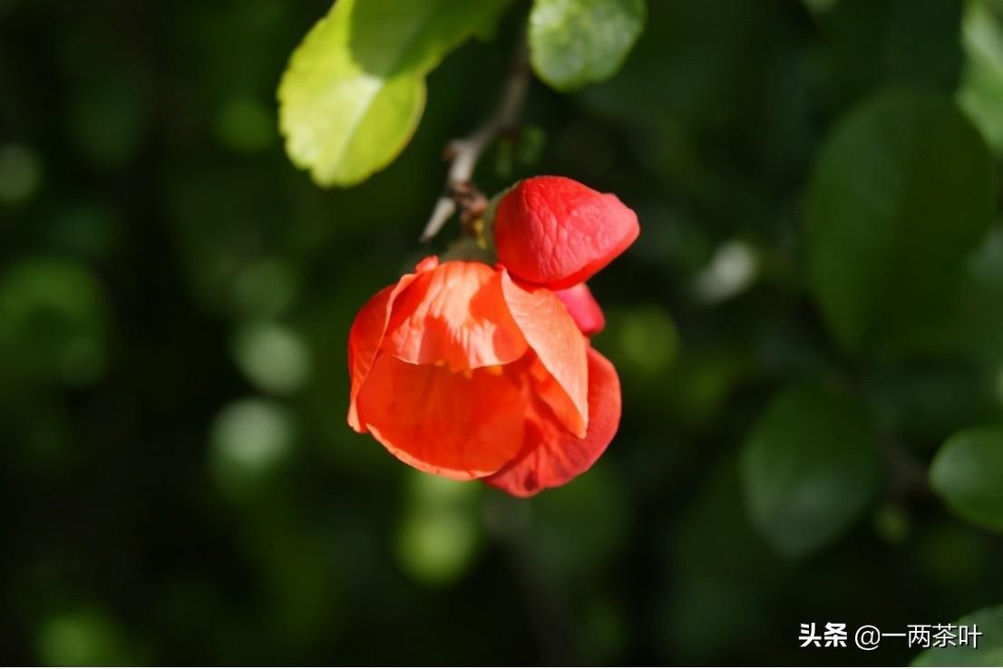 晌午是几点到几点钟(正确的晌午指的是几点)