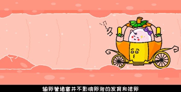 输卵管复通手术大概需要多少费用(输卵管复通后多久能怀孕)-第1张图片-