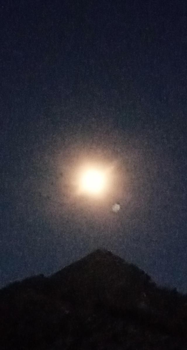 中秋贺词祝福语，海上生明月，天涯共此时，中秋佳节又到，八月十五祝福语有哪些？图9