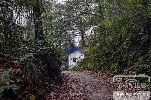 江西于都屏山牧场的多彩风光,清幽安静的山林很适合散心,看咋样